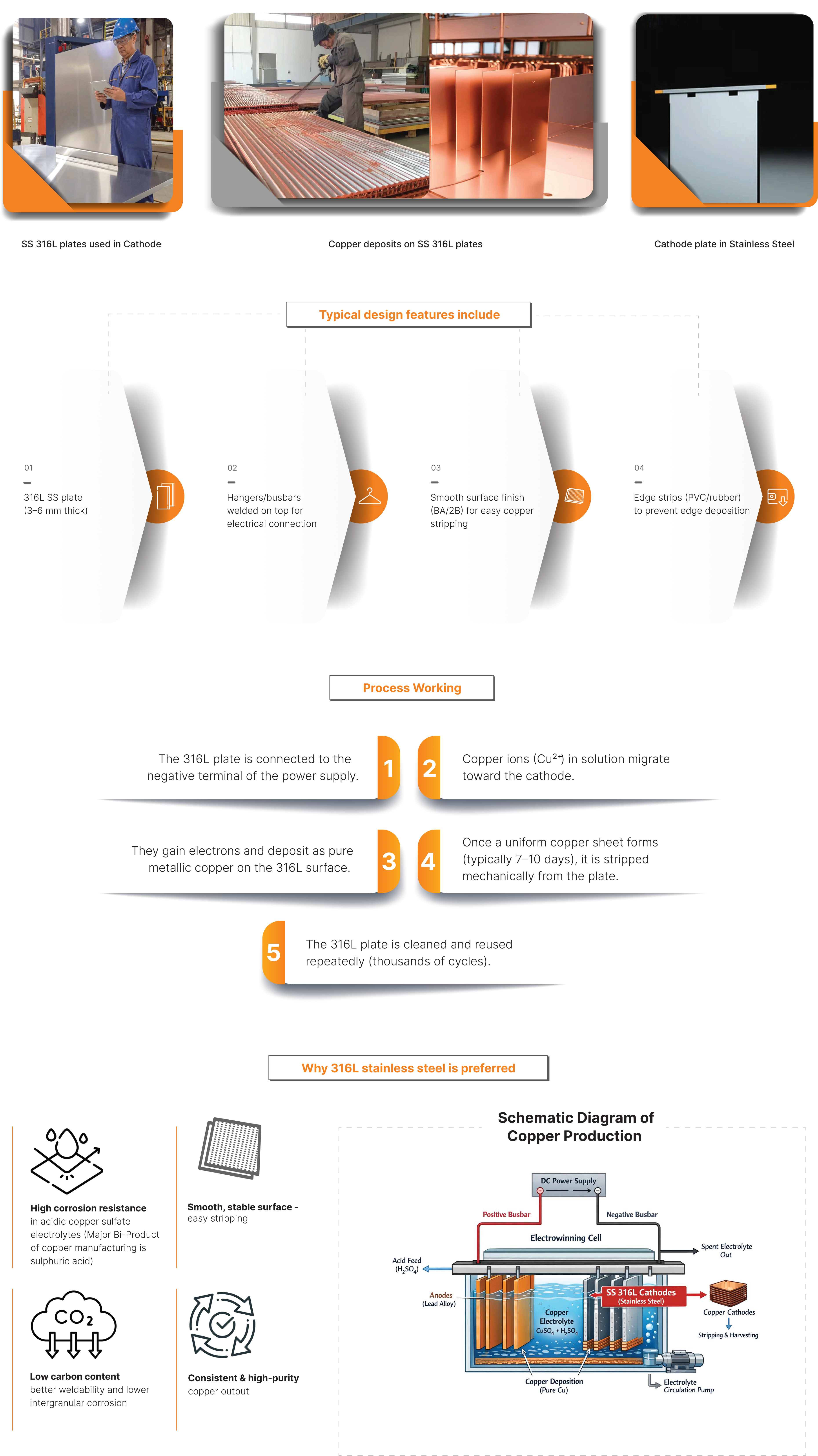 section-4-img-web