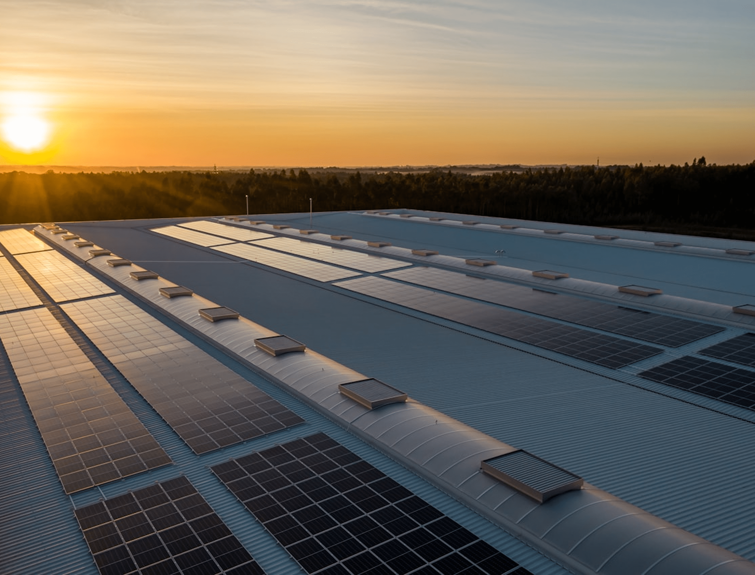 Sustainable Innovation & Supply Chain